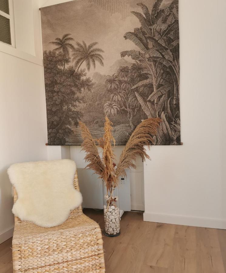 Le Studio Cosy - Labenne Extérieur photo